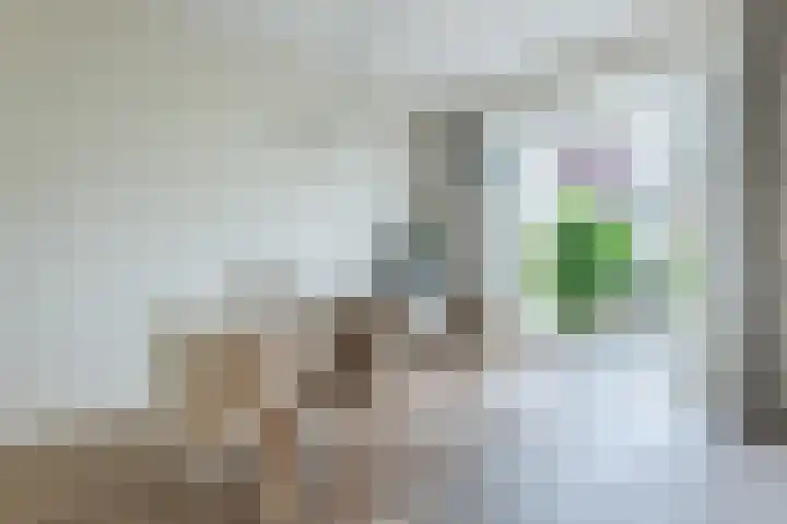 Woekeven 49 Heemskerk thumbnail 13