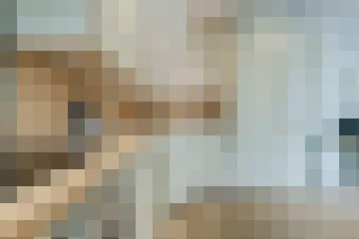 Woekeven 49 Heemskerk thumbnail 17