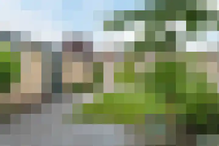 Woekeven 49 Heemskerk thumbnail 20