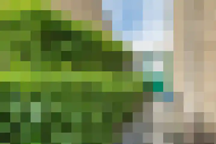 Woekeven 49 Heemskerk thumbnail 28