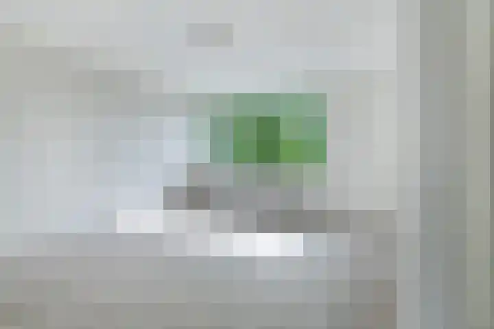 Woekeven 49 Heemskerk thumbnail 31
