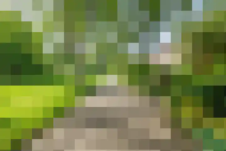 Woekeven 49 Heemskerk thumbnail 4