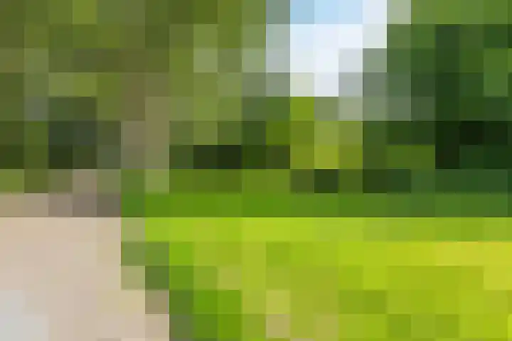 Woekeven 49 Heemskerk thumbnail 48