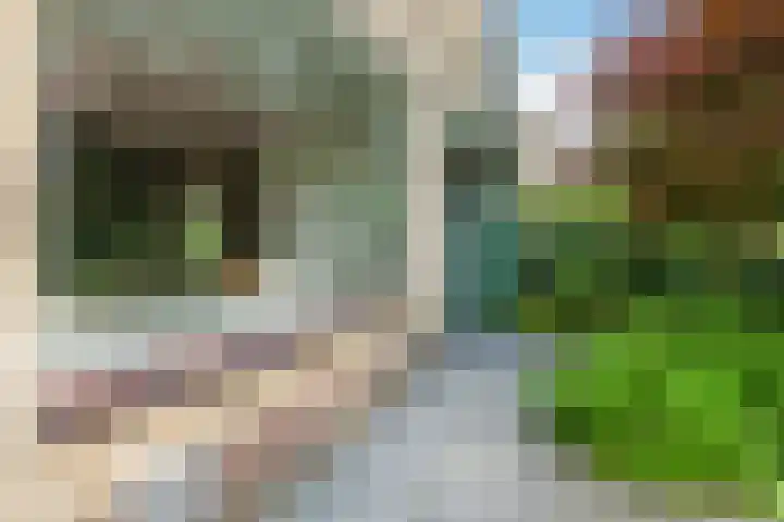 Woekeven 49 Heemskerk thumbnail 50