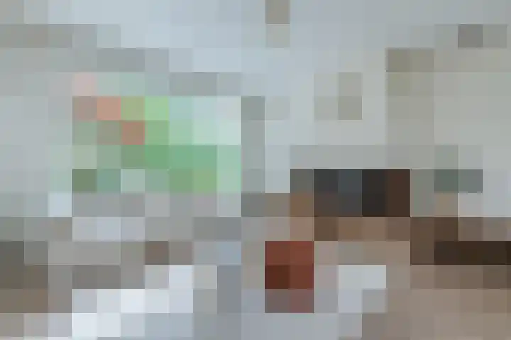 Woekeven 49 Heemskerk thumbnail 6