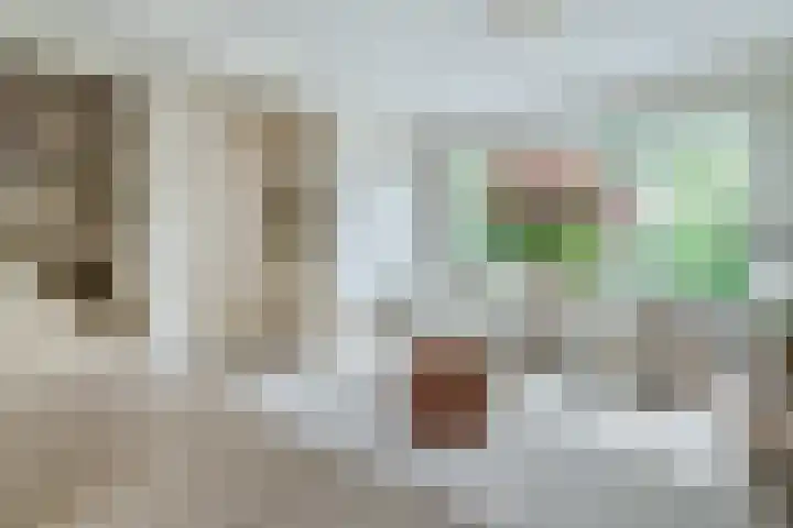 Woekeven 49 Heemskerk thumbnail 7
