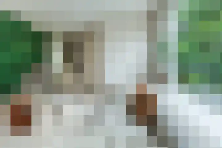 Woekeven 49 Heemskerk thumbnail 8