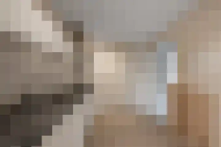 Woekeven 9 Heemskerk thumbnail 11