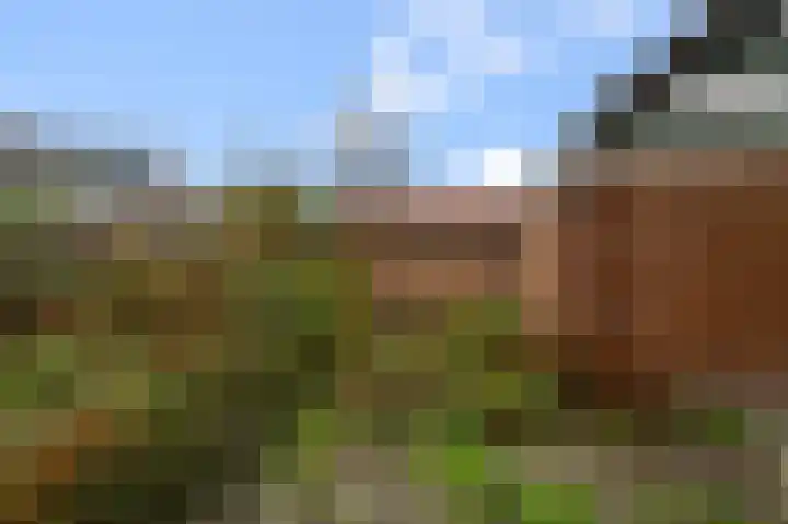 Woekeven 9 Heemskerk thumbnail 14