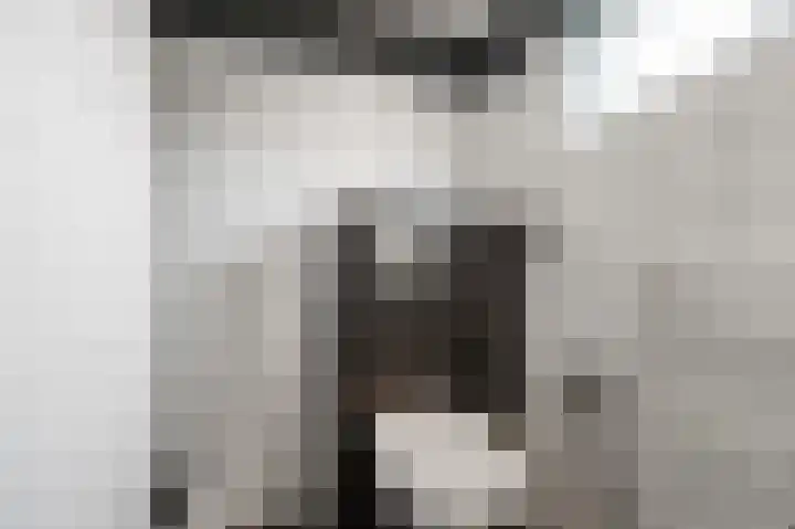 Woekeven 9 Heemskerk thumbnail 26