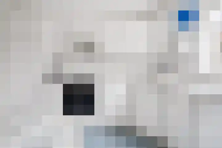 Woelmuisakker 2 Houten thumbnail 17