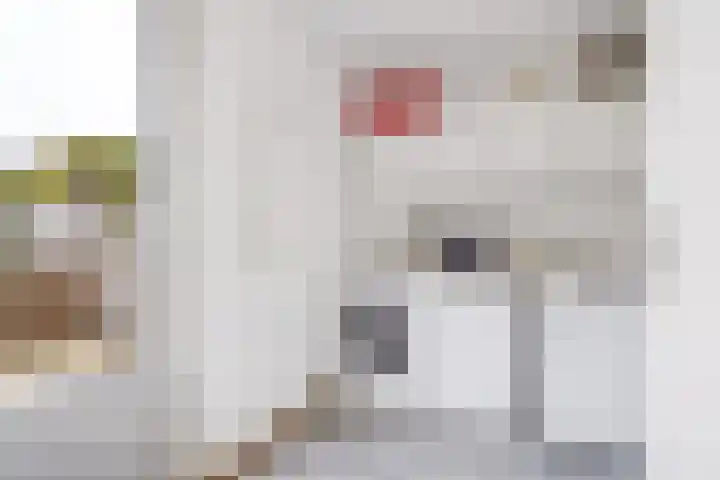 Woelmuisakker 2 Houten thumbnail 19