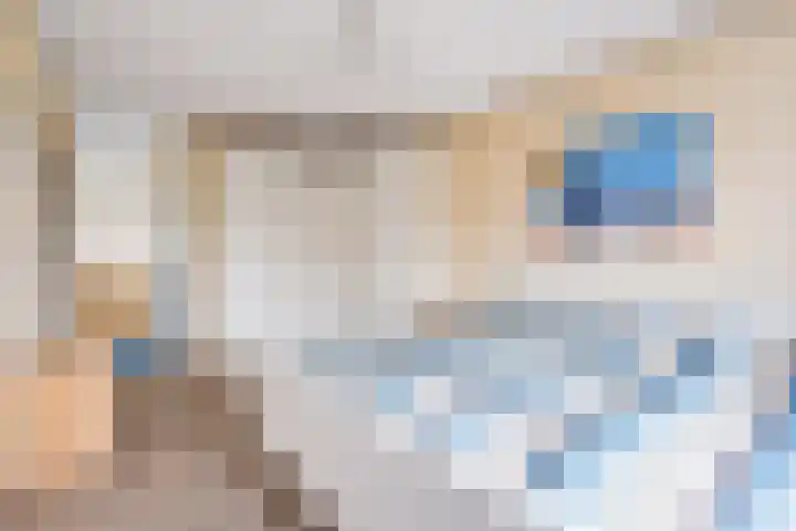 Woelmuisakker 2 Houten thumbnail 24