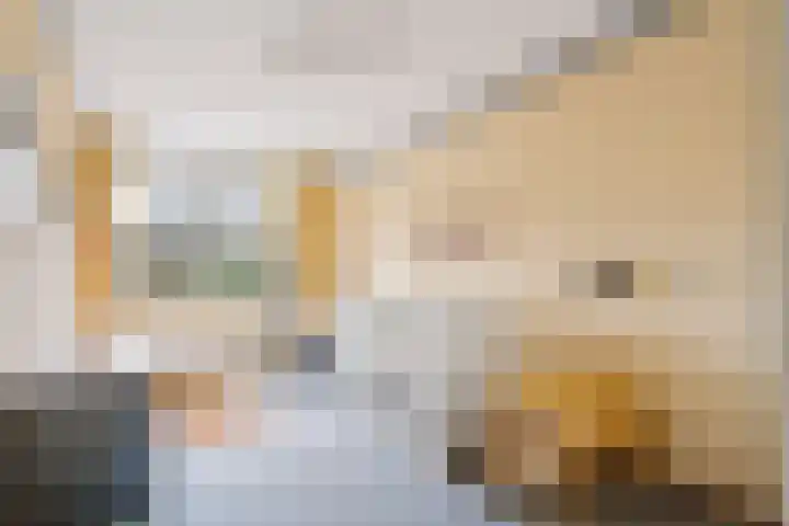 Woelmuisakker 2 Houten thumbnail 25