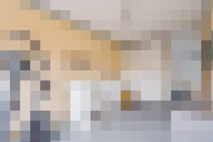 Woelmuisakker 2 Houten thumbnail 26
