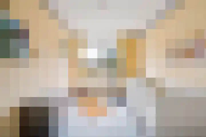Woelmuisakker 2 Houten thumbnail 27