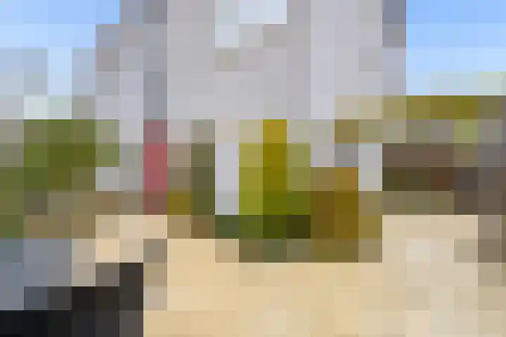 Woelmuisakker 2 Houten thumbnail 4
