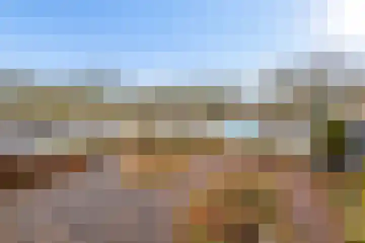 Woelmuisakker 2 Houten thumbnail 41