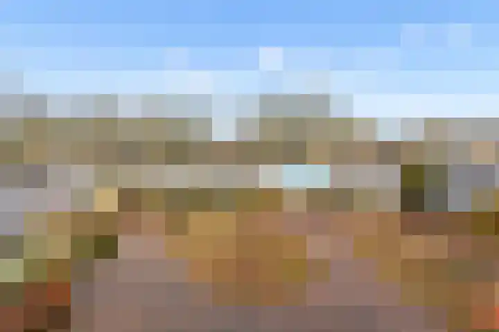 Woelmuisakker 2 Houten thumbnail 42