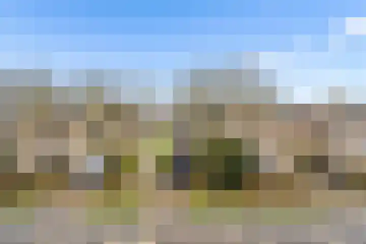 Woelmuisakker 2 Houten thumbnail 43