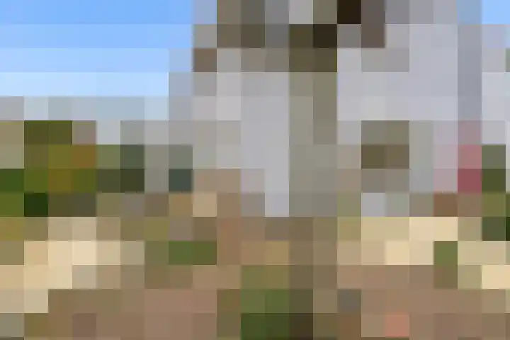 Woelmuisakker 2 Houten thumbnail 44
