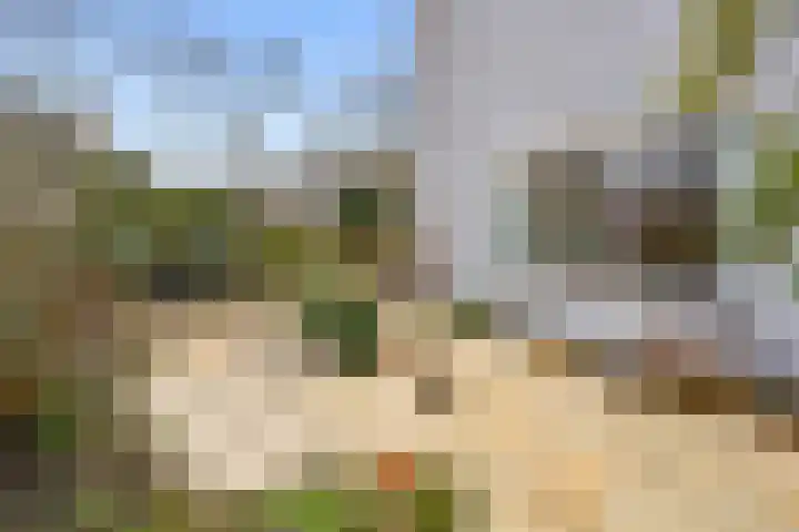 Woelmuisakker 2 Houten thumbnail 45