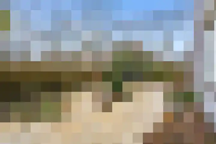 Woelmuisakker 2 Houten thumbnail 46