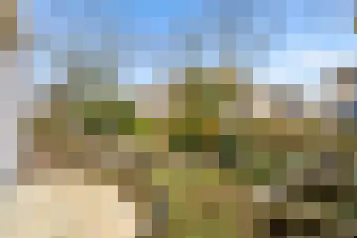 Woelmuisakker 2 Houten thumbnail 47