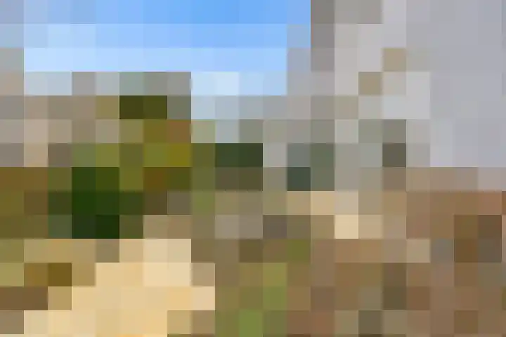 Woelmuisakker 2 Houten thumbnail 48