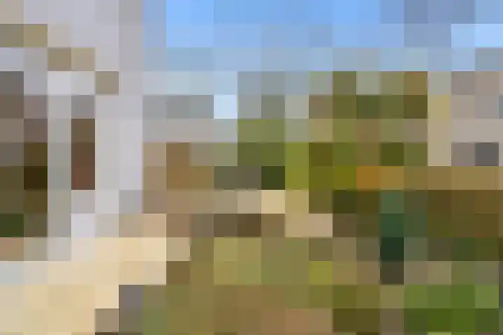 Woelmuisakker 2 Houten thumbnail 49