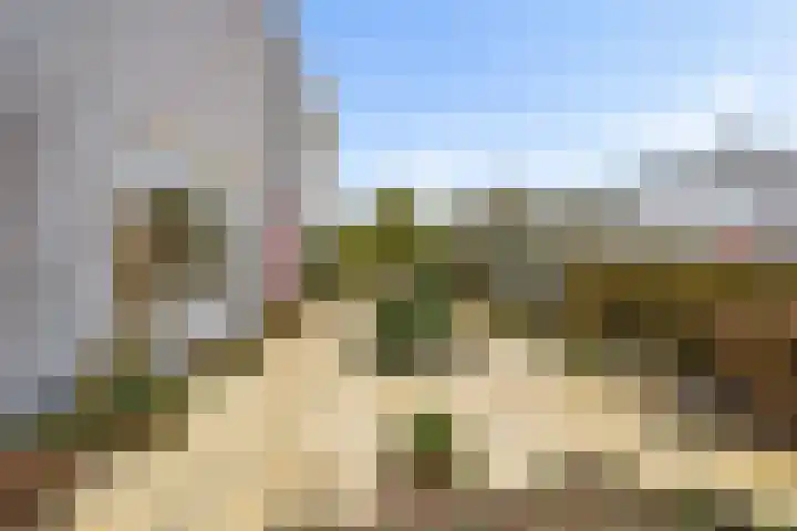 Woelmuisakker 2 Houten thumbnail 50