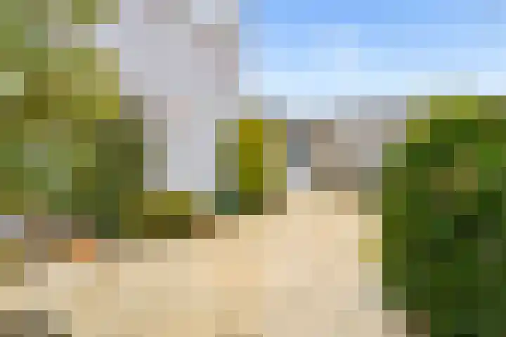 Woelmuisakker 2 Houten thumbnail 51