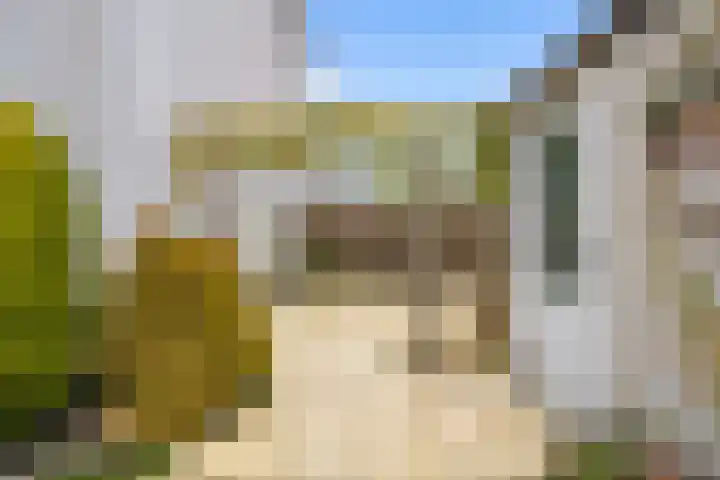 Woelmuisakker 2 Houten thumbnail 52