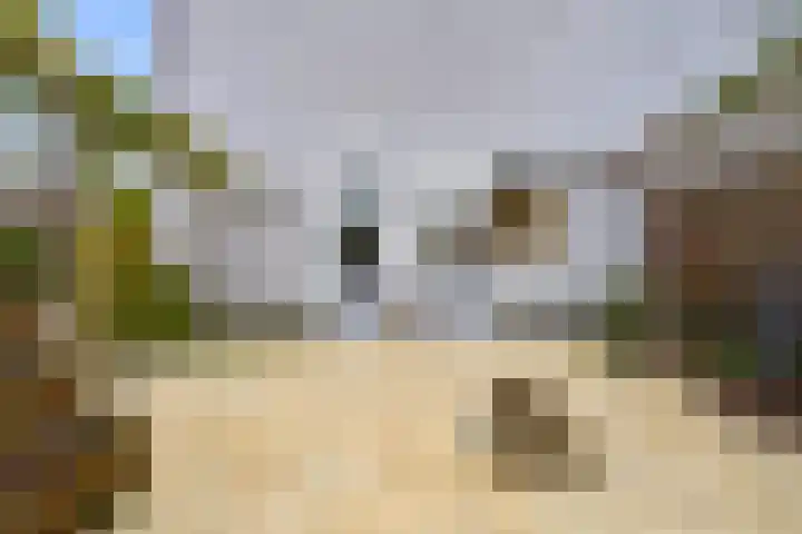 Woelmuisakker 2 Houten thumbnail 54