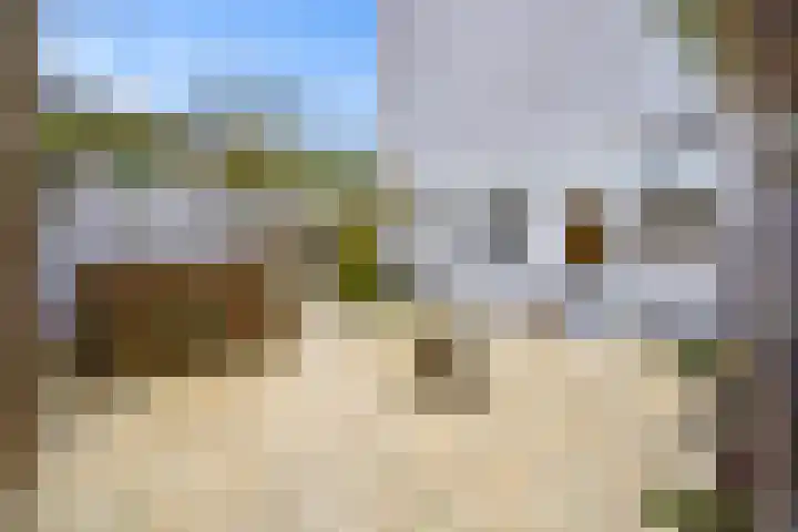 Woelmuisakker 2 Houten thumbnail 55