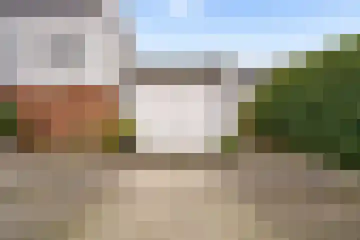 Woelmuisakker 2 Houten thumbnail 56