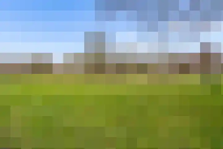 Woelmuisakker 2 Houten thumbnail 57