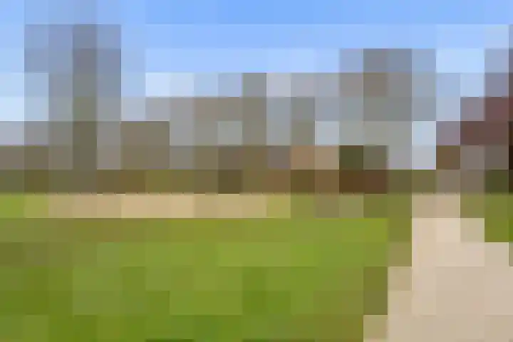 Woelmuisakker 2 Houten thumbnail 58