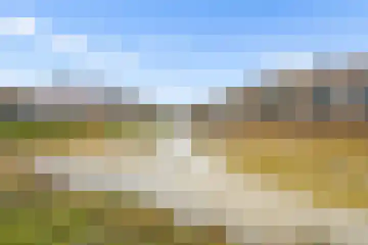 Woelmuisakker 2 Houten thumbnail 59