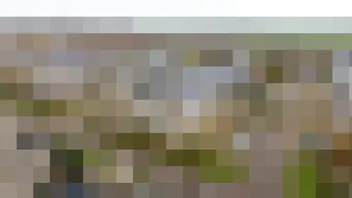 Woelmuisakker 2 Houten thumbnail 60