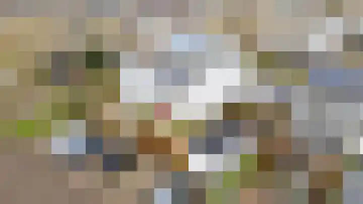 Woelmuisakker 2 Houten thumbnail 61