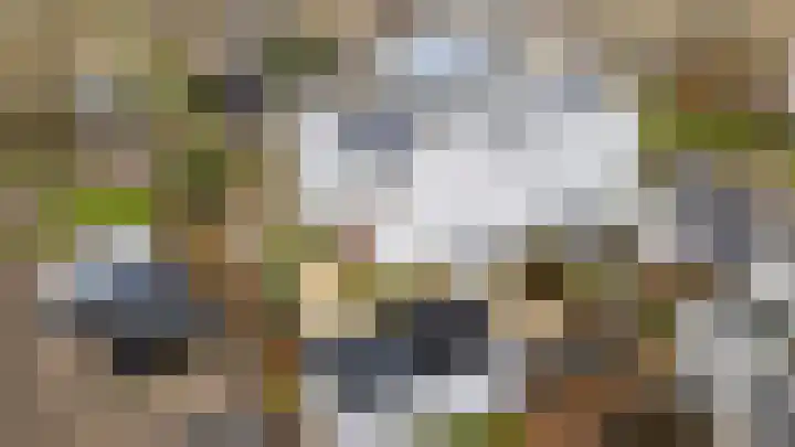 Woelmuisakker 2 Houten thumbnail 62