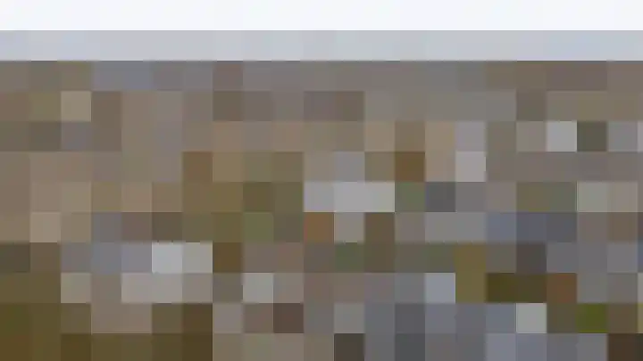 Woelmuisakker 2 Houten thumbnail 63
