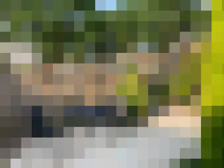 Woelmuisakker 2 Houten thumbnail 65