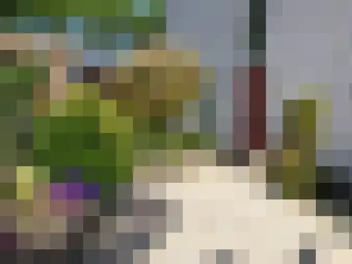Woelmuisakker 2 Houten thumbnail 66