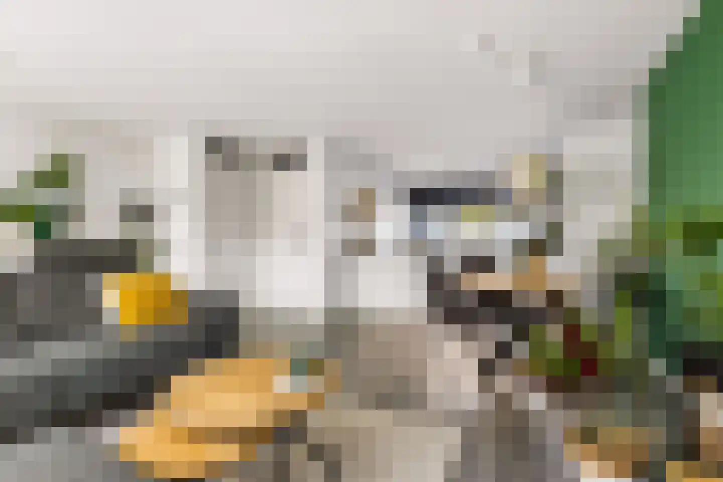 Woelmuisakker 5 Houten thumbnail 10