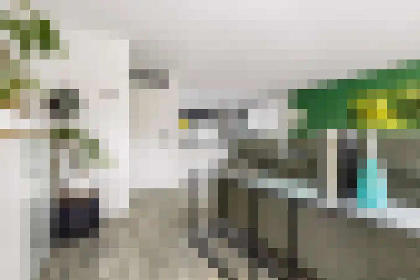 Woelmuisakker 5 Houten thumbnail 11