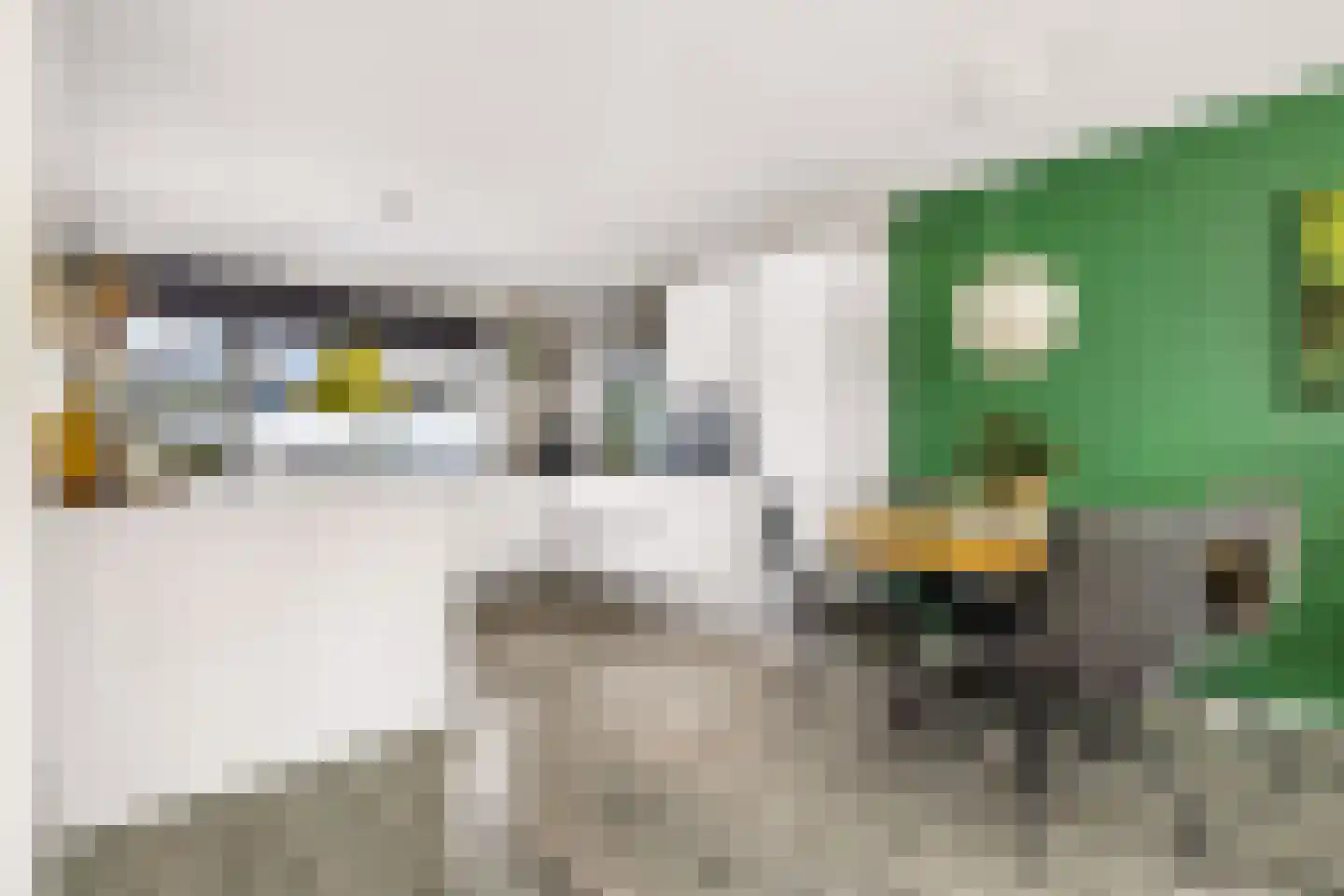 Woelmuisakker 5 Houten thumbnail 13