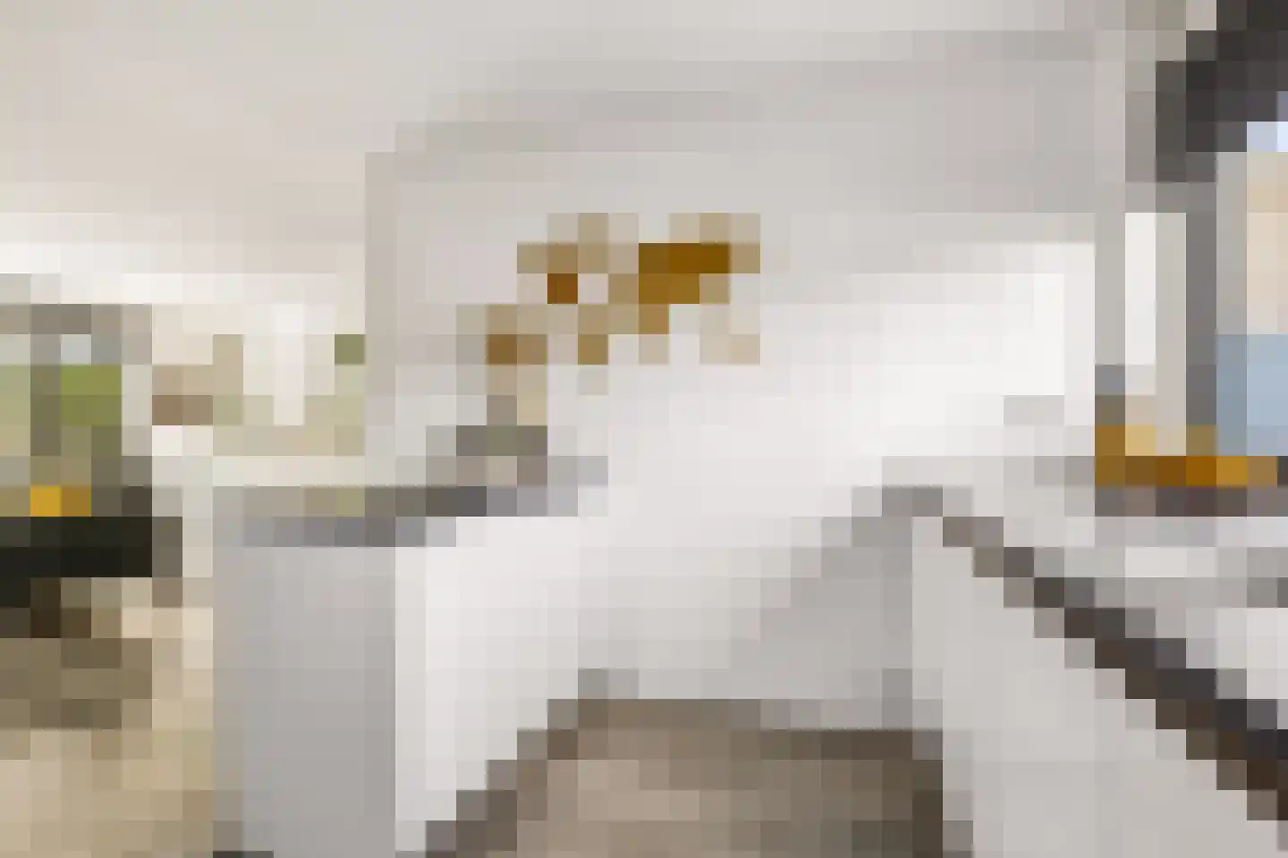 Woelmuisakker 5 Houten thumbnail 18