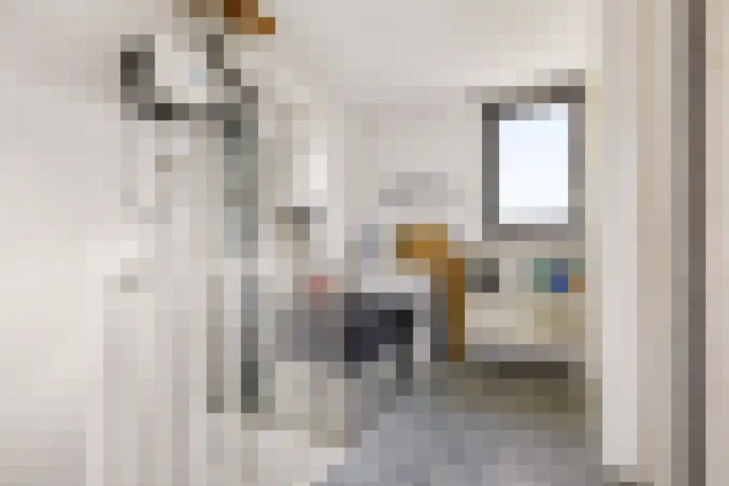 Woelmuisakker 5 Houten thumbnail 31